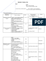 Proiect Didactic Activitati Ludice