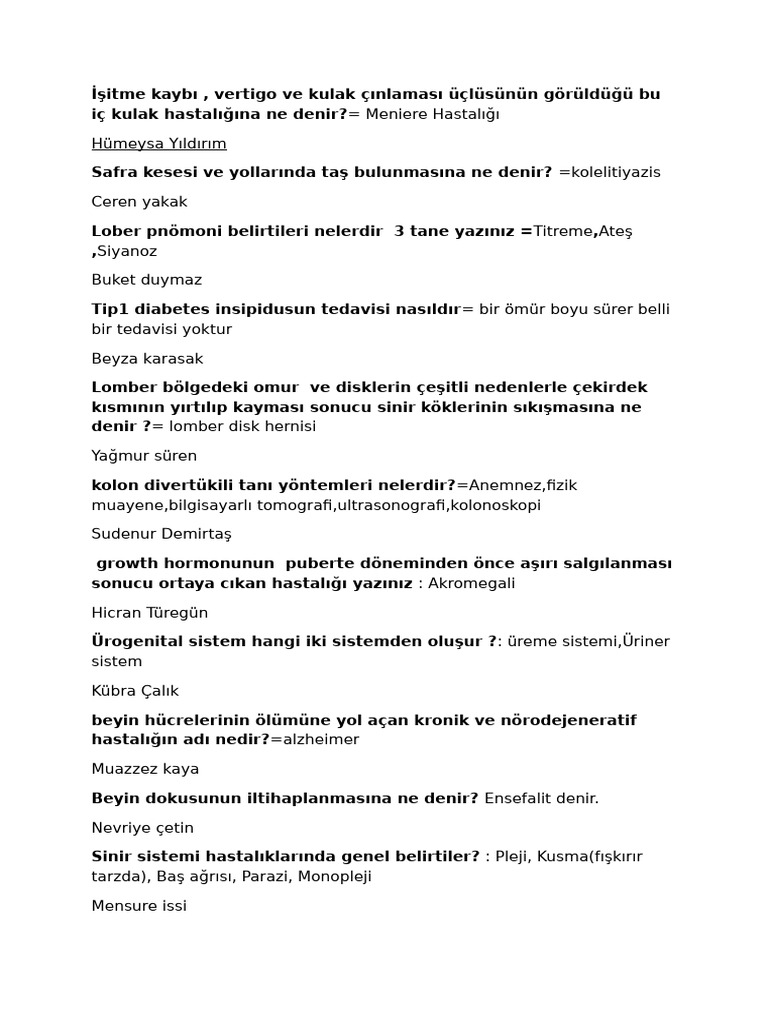 Sorular Si̇stem | PDF