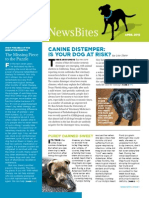 Newsbites: Canine Distemper: Is Your Dog at Risk?