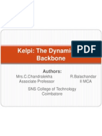 Kelpi: The Dynamic Virtual Backbone: Authors
