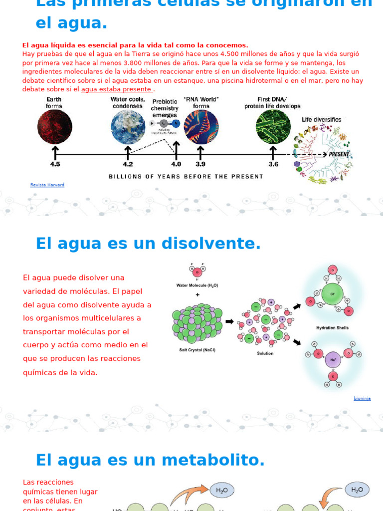 Importancia del Agua en la Vida Celular | PDF | Enlace químico | Enlace ...