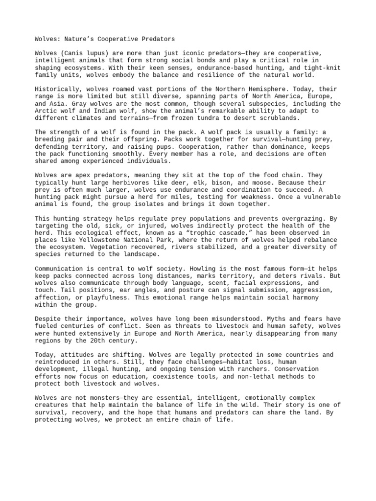 Article - Wolves - Nature's Cooperative Predators | PDF | Pack (Canine ...