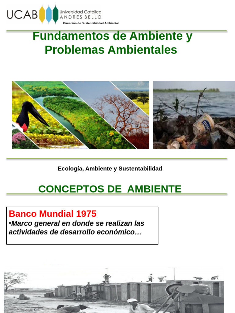 1Â° Ambiente y Prob Ambientales 25 | PDF | Entorno natural ...