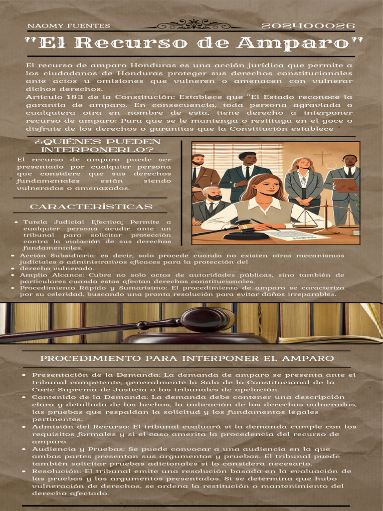 Recurso de Amparo en Honduras: Guía Esencial | PDF | Gobierno | Ley Pública