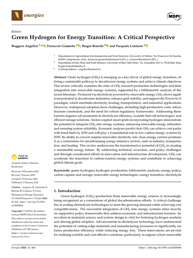Green Hydrogen: Key to Energy Transition | PDF | Hydrogen | Fuel Cell