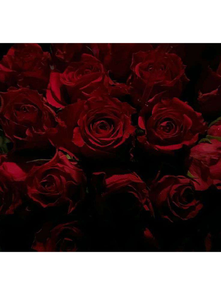 Roses | PDF