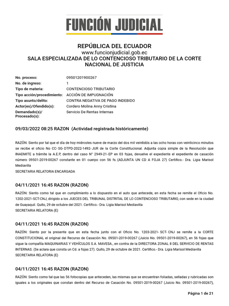 Expel 09501201900267 22077502 10062025 | PDF | Impuestos | Impuesto ...