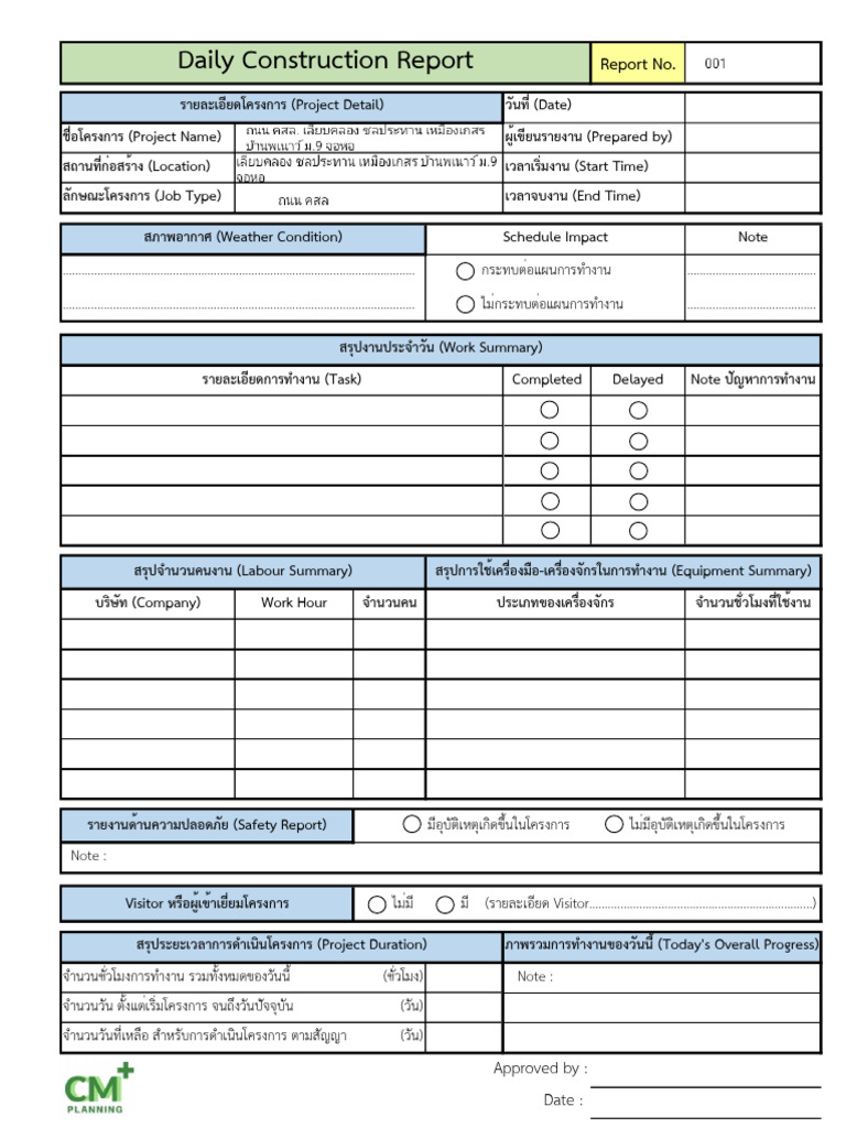 Daily Report by CM Planning Plus | PDF