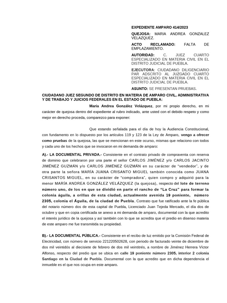 Pruebas en Amparo 414/2023 Puebla | PDF | Justicia | Crimen y violencia