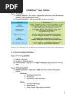 Epithiliam Tissue Outline