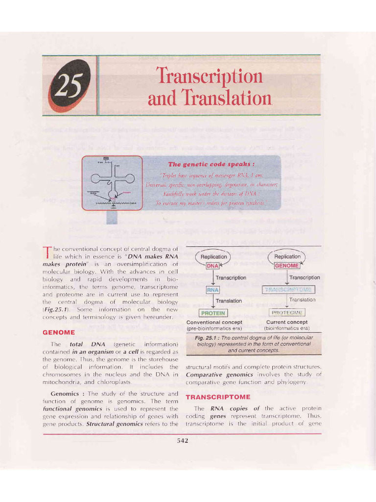 Transcription Topic | PDF