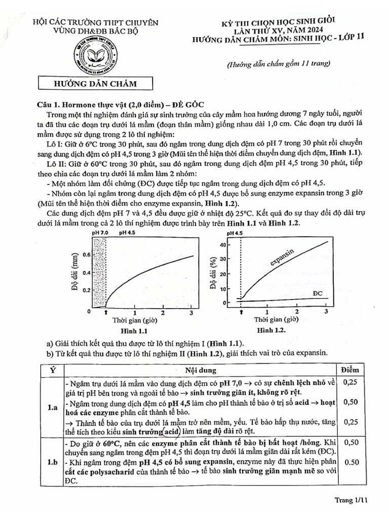 DBBB 2024 HDC s11 | PDF