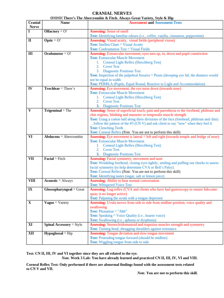 Comprehensive Guide to Cranial Nerves | PDF | Nervous System | Human ...