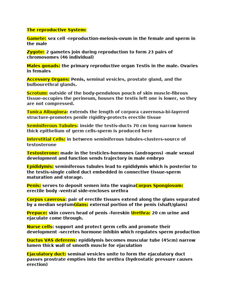 The Reproductive System | PDF | Labia | Sexual Anatomy