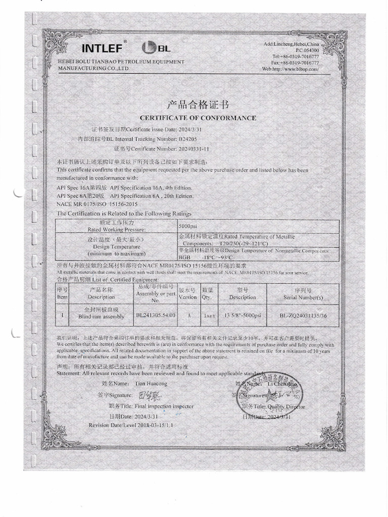 Blind Ram Assembly | PDF
