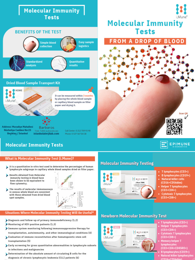 Molecular Immunity Testing Overview | PDF | Lymphocyte | Immune System