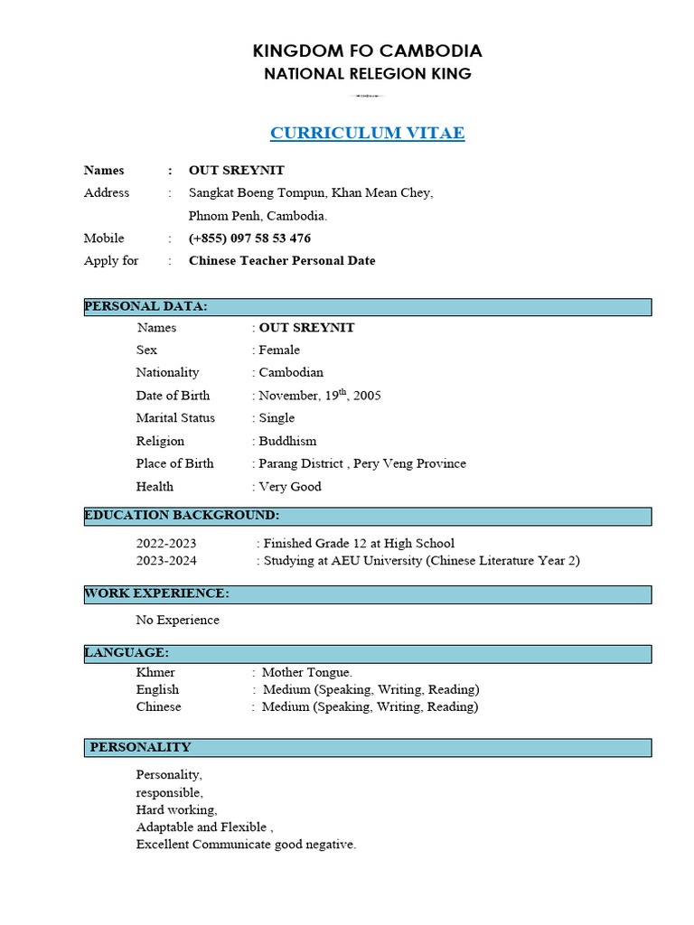 CV Out Sreynit 2 | PDF
