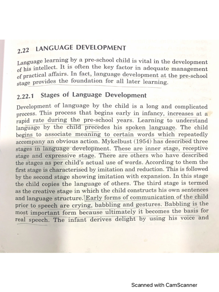 Language Development in Early Childhood | PDF