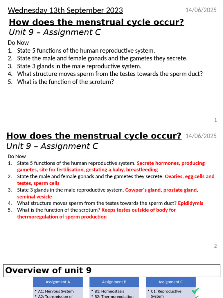 Understanding the Menstrual Cycle | PDF | Menstrual Cycle | Luteinizing ...