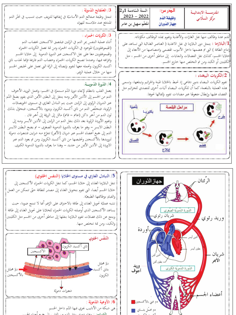 وظيفة الدم | PDF
