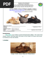 ARBA Recognized Rabbit Breeds Guide | PDF | Animal Breeds | Mammals As Pets