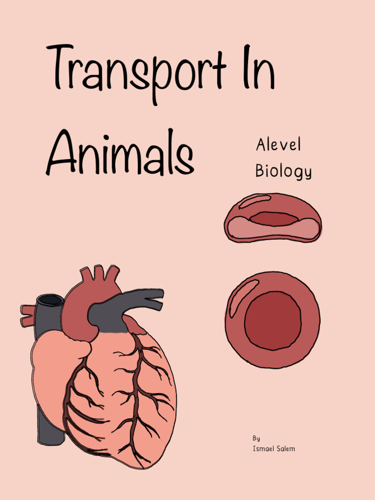 10. Transport in Animals | PDF | Heart Valve | Atrium (Heart)