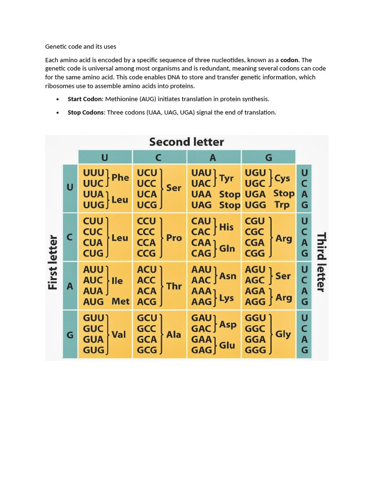 Genetic Code and Its Uses | PDF