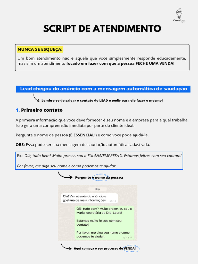 Estratégias Eficazes de Atendimento ao Cliente | PDF | Emoções | Dor