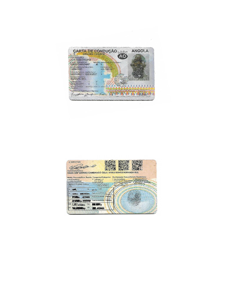 Carta De Condução Pdf