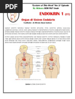 Download Endokrin Anatomi PDF by Nunung Firda Istiqomah SN87599387 doc pdf