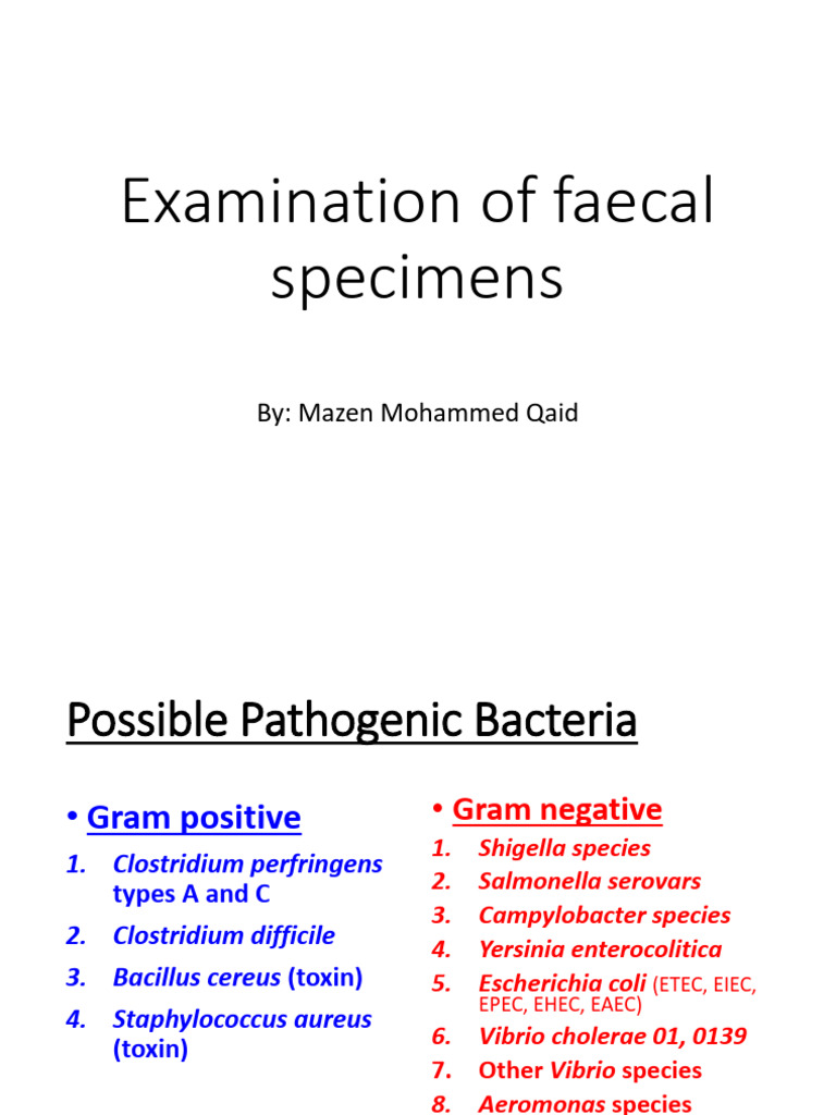 Examination of Faecal | PDF | Bacteria | Microbiology