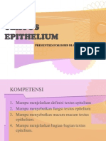 Textus Epithelium