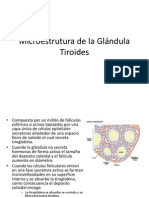 Microestrutura de la Glándula Tiroides