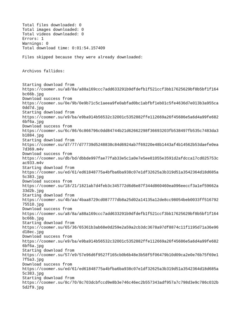 Log 20241031 002128 | PDF | Computing | Software