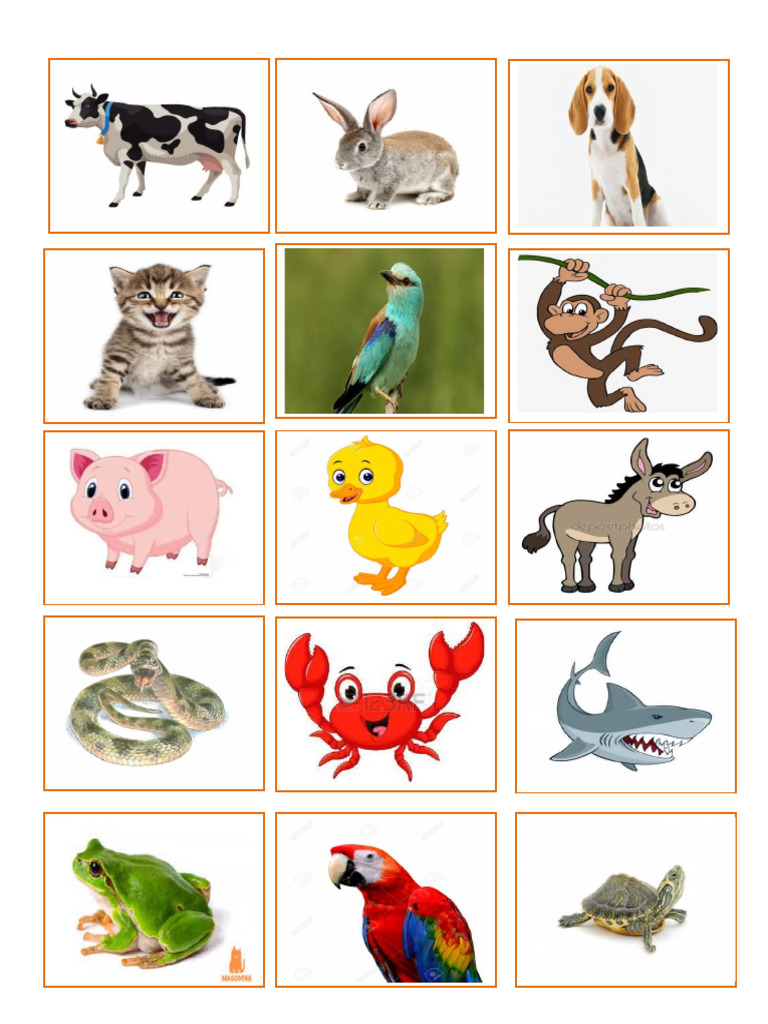 Animales | PDF