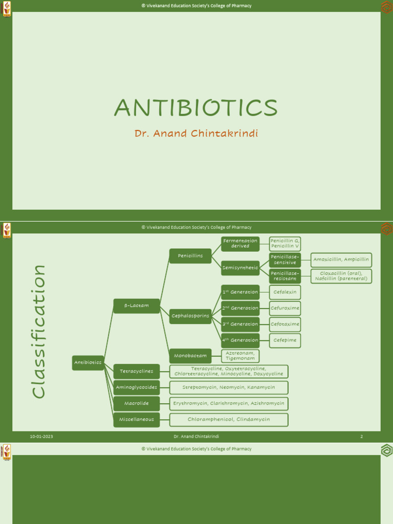 Overview of β-Lactam Antibiotics | PDF | Penicillin | Beta Lactamase
