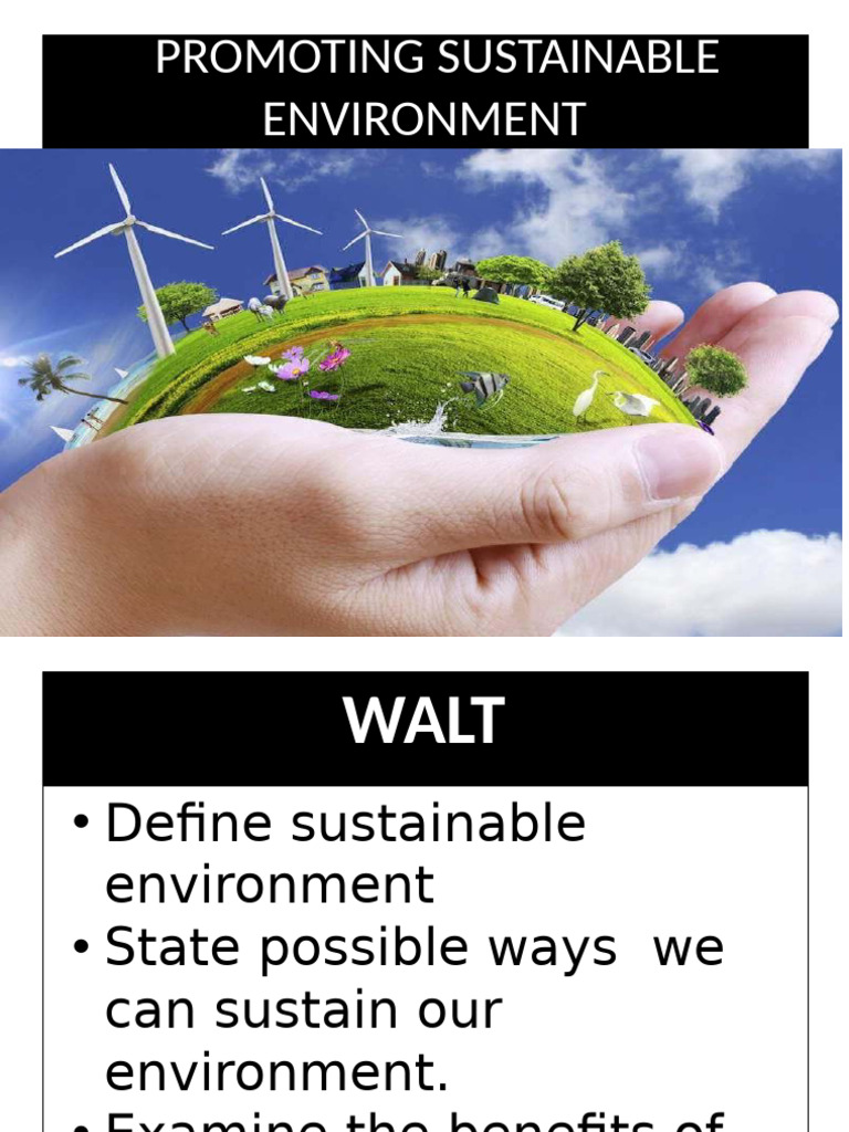 Promoting A Clean Earth | PDF | Sustainability | Natural Environment