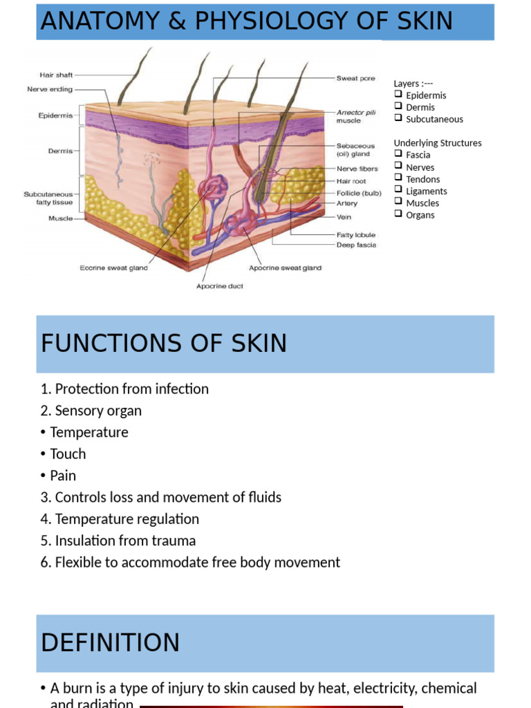 Understanding Burn Types and Care | PDF | Burn | Wound