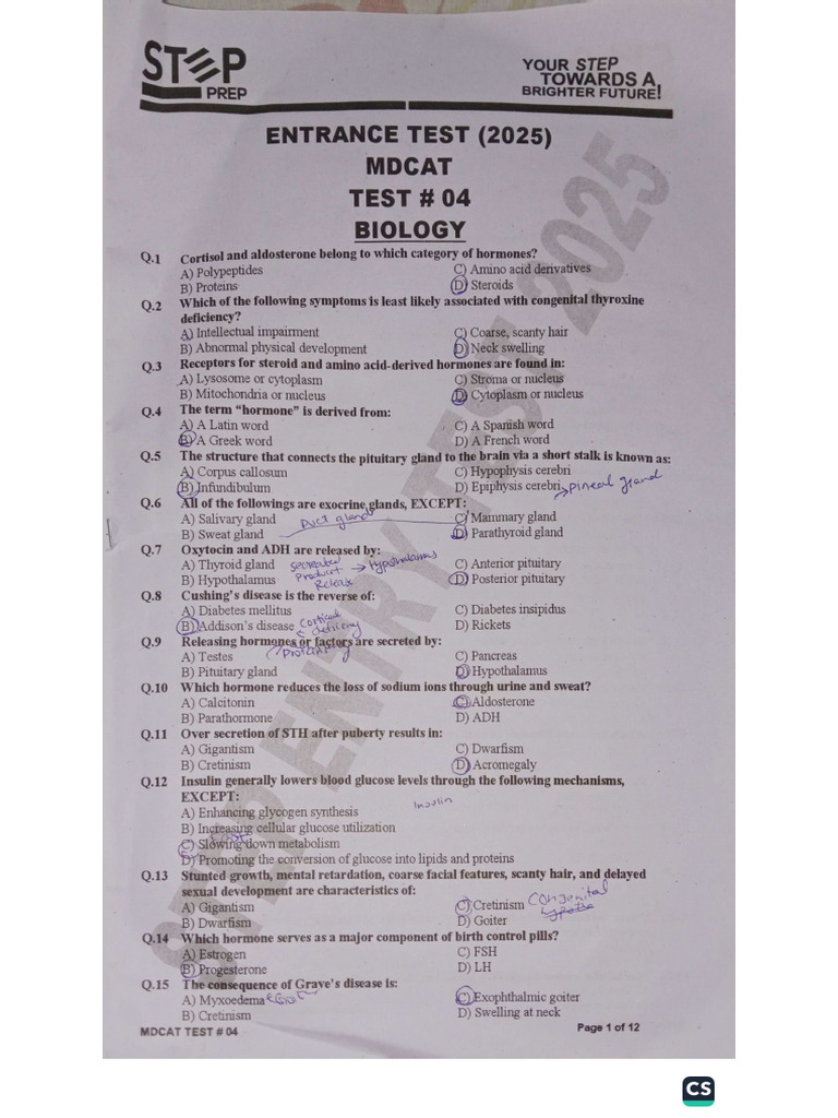 Test 4 | PDF