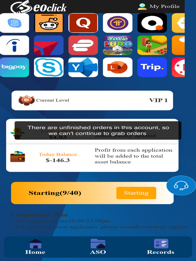 VIP Account Overview and Earnings | PDF