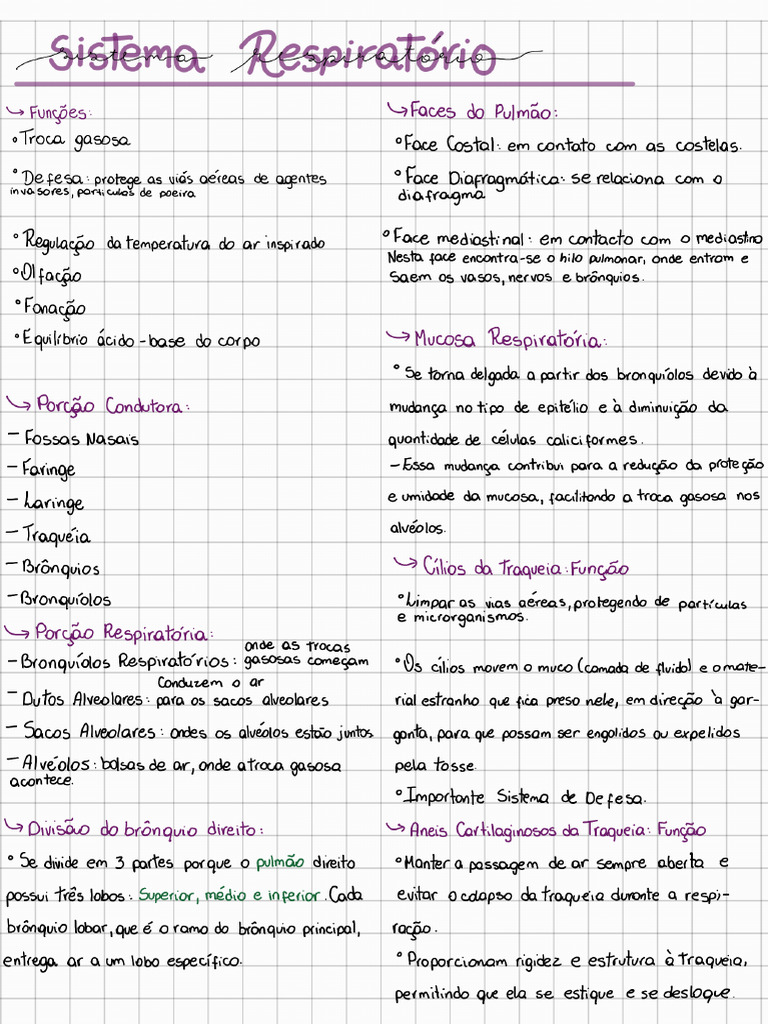 Anatomia I Sistema Respiratorio Pdf