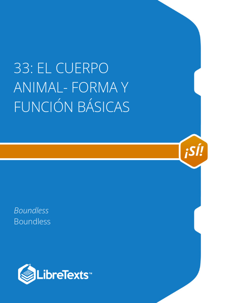 33.. El Cuerpo Animal - Forma y Función Básicas | PDF | Tejido ...