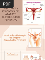 Esquema del aparato reproductor femenino | PDF | Ciclo menstrual | Labios