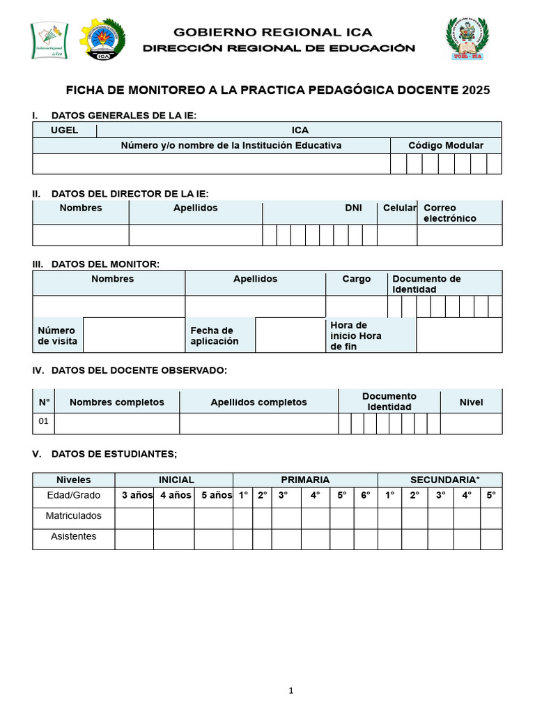 Ficha de Monitoreo Docente 2025 | PDF | Aprendizaje | Evaluación