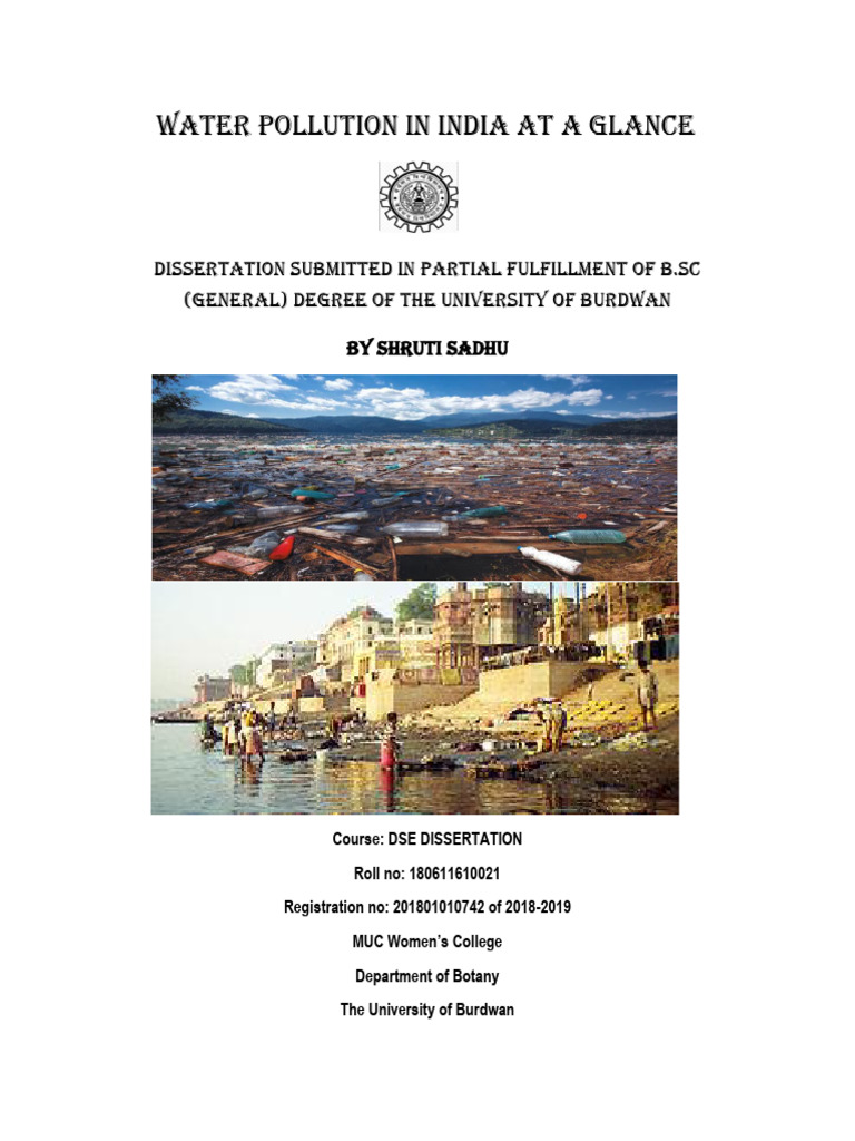Water Pollution Crisis in India | PDF | Water Pollution | Eutrophication