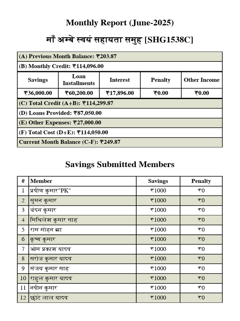 Monthly Report June 2025 SHG1538C | PDF