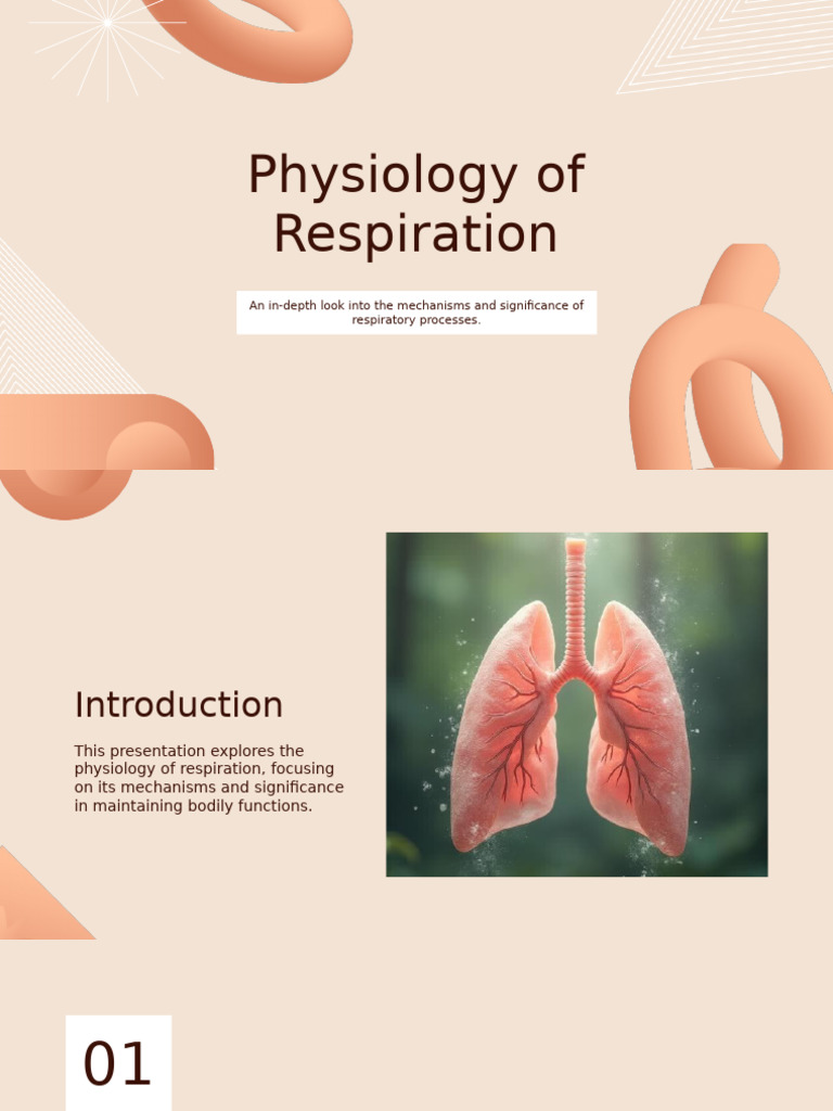 Physiology of Respiration Explained | PDF | Respiratory System | Exhalation