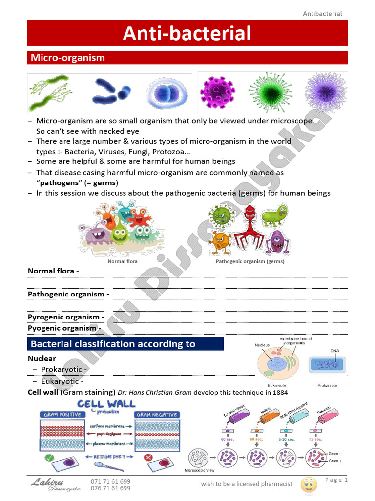 Antibacterial Agents Overview | PDF | Penicillin | Bacteria