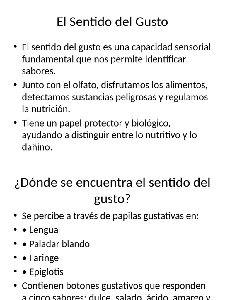 Funciones y Anatomía del Sentido del Gusto | PDF