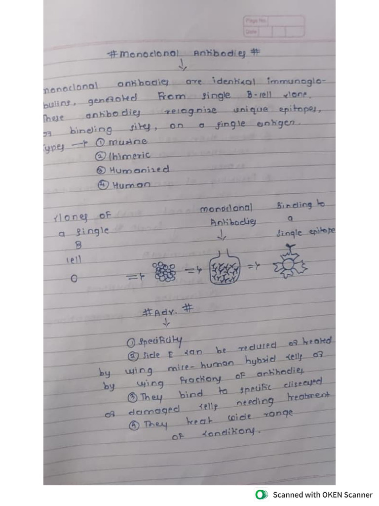 Monoclonal Antibody | PDF